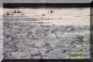 5Schwimmstart.jpg